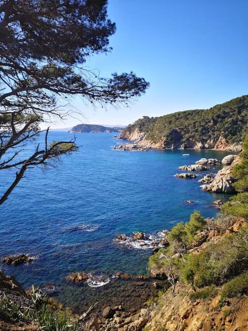 Apartamento Con Piscina L' Ancora Calella De Palafrugell Luaran gambar