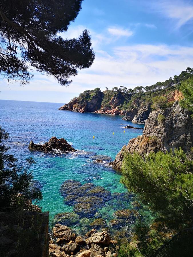 Apartamento Con Piscina L' Ancora Calella De Palafrugell Luaran gambar